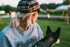 Choosing a dog